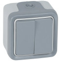 Double interrupteur ou va-et-vient étanche Plexo complet IP55 saillie - gris