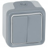 Double interrupteur ou va-et-vient étanche Plexo complet IP55 saillie - gris
