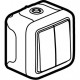 Double interrupteur ou va-et-vient étanche Plexo complet IP55 saillie - gris