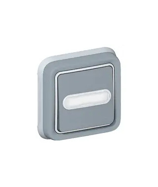 Poussoir inverseur étanche lumineux porte-étiquette Plexo IP55 encastré - gris