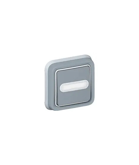 Poussoir inverseur étanche lumineux porte-étiquette Plexo IP55 encastré - gris