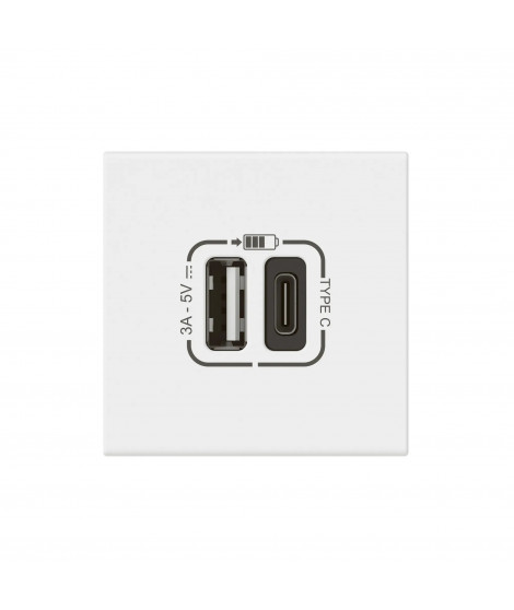 Prise USB Type-A + USB Type-C 3A 15W Mosaic Link 230V - 2 modules blanc