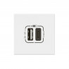 Prise USB Type-A + USB Type-C 3A 15W Mosaic Link 230V - 2 modules blanc