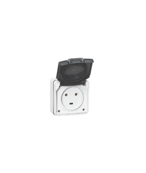 Prise étanche 2P+T 20A Plexo complet IP55 saillie - gris