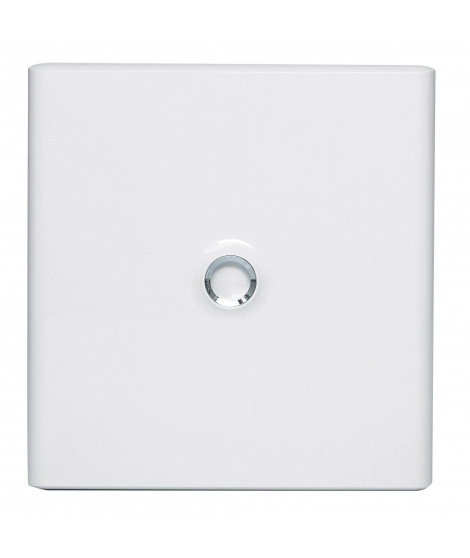 Porte Drivia blanche IP40 IK07 pour coffret réference 401222 - RAL9003