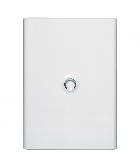 Porte Drivia blanche IP40 IK07 pour coffret réference 401223 - RAL9003