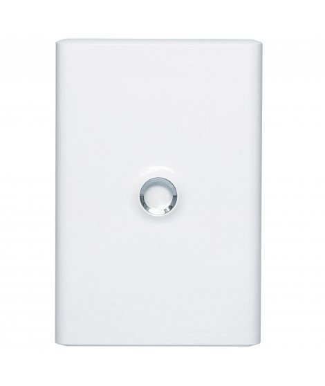 Porte Drivia blanche IP40 IK07 pour coffret réference 401212 - Blanc RAL9003