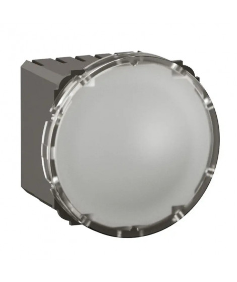 Voyant LED de signalisation Céliane - 230V~