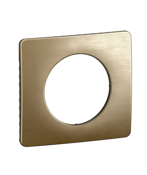Plaque de finition Céliane 1 poste - Bronze Satiné
