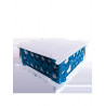 BOITE PAVILLONNAIRE BBC