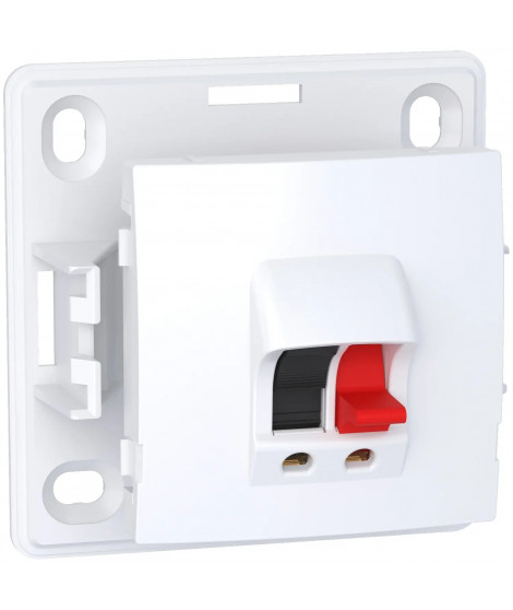 ALREA - PRISE HAUT-PARLEUR 1 SORTIE - BLANC RAL9003 - 2 BORNES A RESSORTS