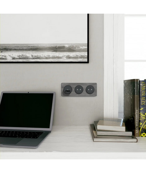 Odace - prise USB double - charge rapide - type A+C - anthracite - 18W - 3