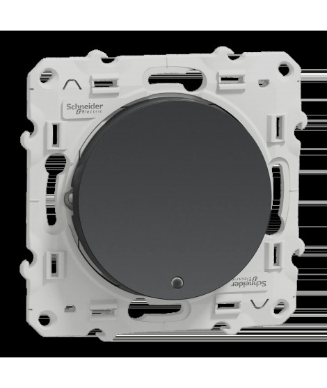 Odace - va-et-vient lumineux ou témoin - anthracite - 10A - LED orange 1