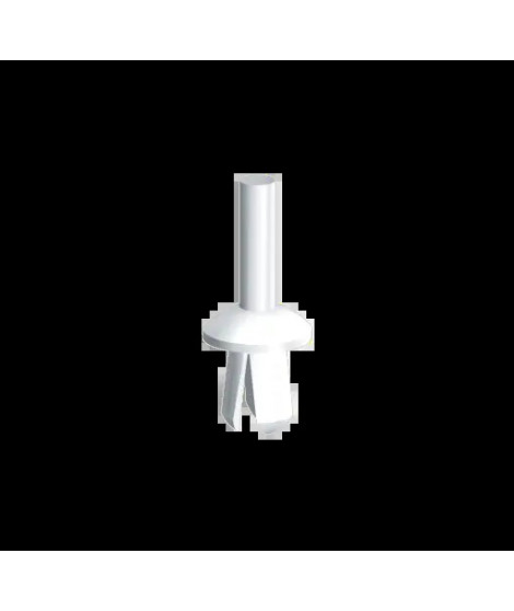 RIVETS PLASTIQUE NATUREL D6 X 12 U60X