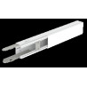 GOULOTTE (2M) 40X60 IK10 BLANC RAL9010 U23X