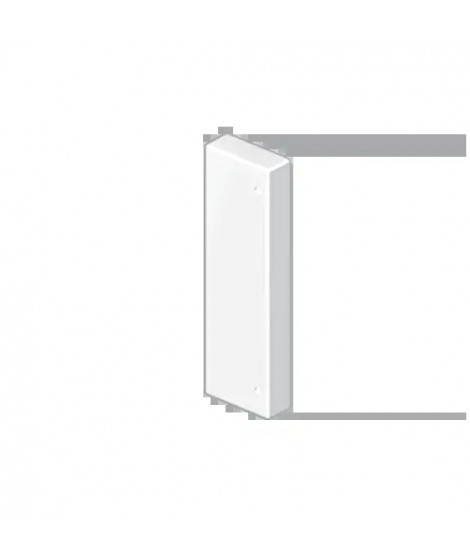 EMBOUT DE FERMETURE BLANC RAL9 010 50X100 U24X