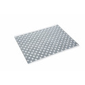 RAUTHERM SPEED RENOVA PLAQUE