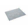 RAUTHERM SPEED RENOVA PLAQUE