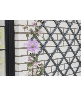 Treillis extensible - NATURE - En plastique Anthracite - 100 x 200 cm