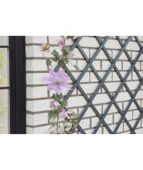 Treillis extensible - NATURE - En plastique Anthracite - 100 x 200 cm