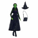 Mattel-Wicked-Poupée Elphaba avec accessoires et habillages amovibles - Wicked - HXT62