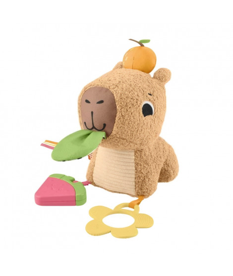 MON CAPYBARA CALINS