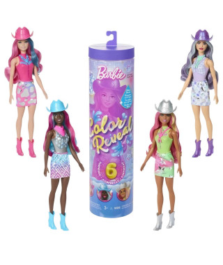 ASST COLOR REVEAL COUNTRY