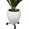 NATURE Tablette a roulettes pour plantes extensible - Métal noir - H6 x 27/37 x 27/37 cm
