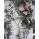 Treillis extensible plastique blanc - 100x200cm - Nature - S'adapte en largeur - Set de fixation