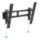 ERARD - Support mural inclinable 046260