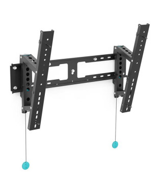 ERARD - Support mural inclinable 046260