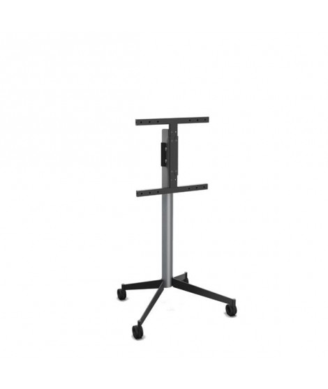 ERARD - Pied TV 039240