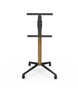 ERARD - Pied TV 039340