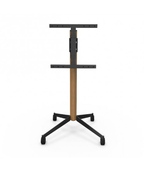 ERARD - Pied TV 039340