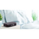 SCHNEIDER - Radio-réveil GMSC310ACLGRY