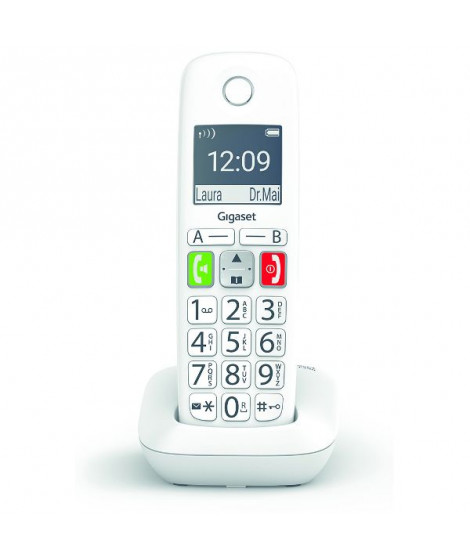 GIGASET - Téléphone résidentiel E290
