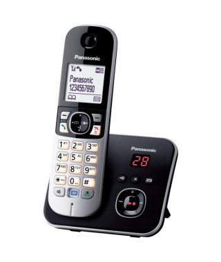 PANASONIC - Téléphone résidentiel KXTG6821