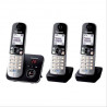 PANASONIC - Téléphone résidentiel KXTG6823