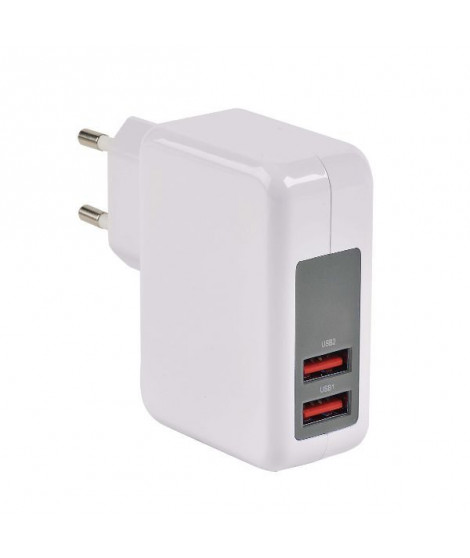 ERARD - Chargeur USB 8203