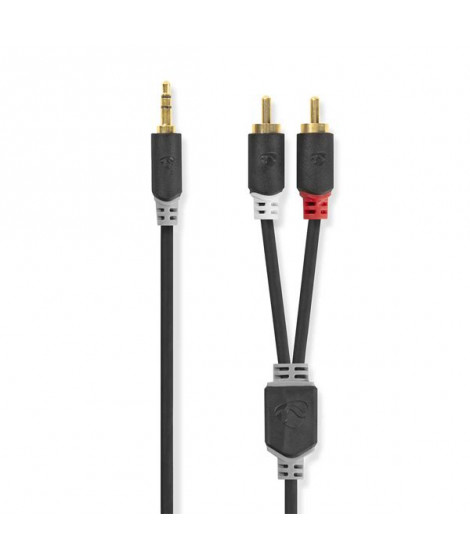 NEDIS - Câble audio - CABW22200AT10