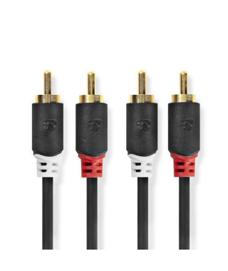 NEDIS - Câble audio - CABW24200AT10
