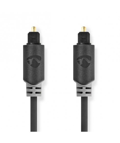 NEDIS - Câble audio - CABW25000AT20