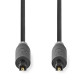 NEDIS - Câble audio - CABW25000AT20