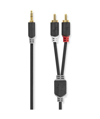 NEDIS - Câble audio - CABW22200AT100