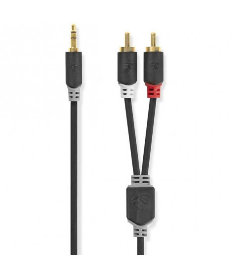 NEDIS - Câble audio - CABW22200AT100