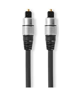 NEDIS - Câble audio CAGC25000AT100