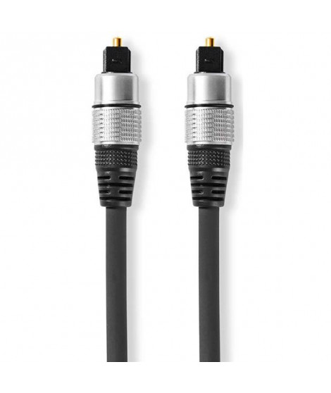 NEDIS - Câble audio CAGC25000AT100