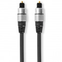 NEDIS - Câble audio CAGC25000AT100