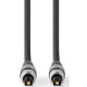 NEDIS - Câble audio CAGC25000AT100