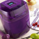 BRANDT - Sorbetière 1.5 L Violet Pourpre - SOR15EP
